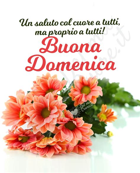 saluti di buona domenica|buona domenica virtuale.